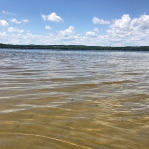 Meet your Posher, Tasha